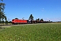 Bombardier 34178 - DB Cargo "185 310-0"
25.06.2020 - Wiesental
Wolfgang Mauser