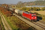 Bombardier 34183 - DB Schenker "185 315-9
"
01.11.2010 - Hügelheim
Vincent Torterotot