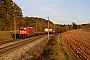 Bombardier 34192 - DB Cargo "185 319-1"
30.03.2021 - Hagenbüchach
Korbinian Eckert