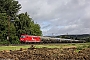 Bombardier 34196 - RheinCargo "2052"
06.08.2021 - Himmelstadt
Martin Welzel