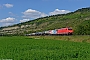 Bombardier 34200 - RheinCargo "2054"
04.09.2021 - Thüngersheim
Dirk Menshausen