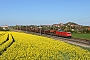 Bombardier 34203 - DB Cargo "185 338-1"
22.04.2020 - Landsberg (Saalekreis)
Daniel Berg