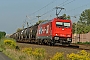 Bombardier 34204 - HGK "2055"
27.08.2008 - Rodenbach b. Hanau
Albert Hitfield