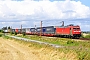 Bombardier 34209 - DB Schenker "185 328-9"
20.08.2014 - Ejby
Peider Trippi