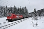 Bombardier 34228 - HGK "2064"
27.01.2011 - Steinbach (Wald)
Christian Klotz