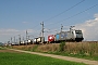 Bombardier 34231 - RTB Cargo "185 621-0"
23.04.2014 - Markersdorf an der Pielach
Michal Demcila