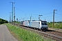 Bombardier 34242 - CTL "185 717-6"
27.05.2017 - Großkorbetha
Marcus Schrödter