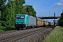 Bombardier 34248 - TXL "185 617-8"
10.06.2016 - Thüngersheim
Holger Grunow