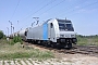 Bombardier 34252 - FLOYD "185 673-1"
04.08.2012 - Hegyeshalom
Márk Csató