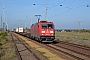 Bombardier 34253 - DB Schenker "185 351-4"
01.11.2014 - Neuburxdorf
Marcus Schrödter