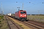 Bombardier 34253 - DB Schenker "185 351-4"
01.11.2014 - Neuburxdorf
Marcus Schrödter