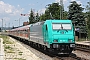 Bombardier 34257 - DB Regio "185 619-4"
24.05.2012 - Neumarkt (Oberpfalz)
Thomas Wohlfarth