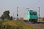 Bombardier 34272 - DB Schenker "185 614-5"
12.10.2010 - Neuss-Allerheiligen
Patrick Böttger