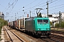 Bombardier 34272 - TXL "185 614-5"
10.04.2011 - München, Bahnhof Heimeranplatz
Arne Schuessler