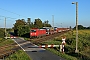 Bombardier 34284 - DB Cargo "185 363-9"
06.09.2023 - Güterglück
Daniel Berg