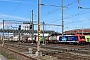 Bombardier 34296 - SBB Cargo "484 020"
15.03.2023 - Pratteln
Theo Stolz