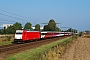 Bombardier 34302 - Hispeed "E 186 113"
28.09.2008 - Echt
Luc Peulen