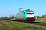 Bombardier 34306 - CFL Cargo "E 186 127"
02.03.2025 - Babenhausen-Harreshausen
Kurt Sattig
