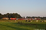 Bombardier 34310 - Hispeed "E 186 114"
26.07.2012 - Breda
Albert Hitfield