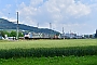 Bombardier 34318 - BLS Cargo "186 104"
08.06.2018 - Sissach
Marcus Schrödter