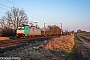Bombardier 34334 - ITL "E 186 128"
04.03.2025 - Peine-Woltorf
Fabian Halsig