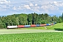 Bombardier 34363 - TXL "186 908"
09.06.2018 - Benzenschwil
Marcus Schrödter