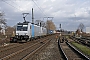 Bombardier 34374 - Metrans "E 186 143-4"
29.01.2015 - Duisburg-Rheinhausen, Haltepunkt Rheinhausen Ost
Rob Quaedvlieg