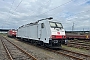 Bombardier 34376 - DB Cargo "E 186 144"
17.05.2022 - Krefeld
Kris Luyckx