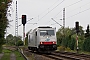 Bombardier 34379 - ITL "285 108-7"
02.09.2013 - Dresden-Stetzsch
Daniel Miranda