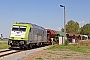 Bombardier 34381 - Captrain "285 117-9"
28.08.2014 - Mühlberg, Kieswerk
Alexander Wiemer