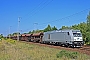 Bombardier 34381 - ITL "76 101"
06.092013 - Berlin-Wuhlheide
Holger Grunow