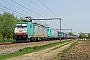 Bombardier 34383 - SNCB "2805"
15.04.2009 - Lokeren
Paul Venken