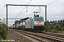 Bombardier 34393 - COBRA "2814"
15.07.2014 - Tongeren
Lutz Goeke