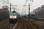 Bombardier 34394 - SNCB "2816"
17.03.2011 - Amsterdam, Lelylaan
Albert Koch