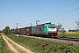 Bombardier 34400 - Crossrail "E 186 213"
23.04.2020 - Buggingen
Tobias Schmidt