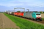 Bombardier 34408 - SNCB "2824"
19.05.2009 - Zevenbergen
Rogier Immers