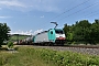 Bombardier 34416 - COBRA "2826"
06.06.2018 - Himmelstadt
Mario Lippert