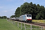 Bombardier 34421 - Lokomotion "186 251"
22.08.2013 - Großkarolinenfeld
Philip Debes