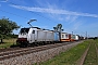 Bombardier 34421 - BLS Cargo "186 251"
26.05.2020 - Wiesental
Wolfgang Mauser