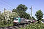 Bombardier 34428 - LTE "E 186 221"
16.05.2025 - Ratingen-Lintorf
Martin Welzel