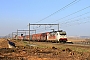 Bombardier 34441 - DB Cargo "E 186 237"
08.03.2025 - Warsage
Philippe Smets
