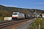 Bombardier 34441 - LTE "E 186 237"
19.10.2013 - Königstein
Marcus Schrödter