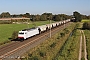 Bombardier 34442 - CapTrain "E 186 238"
01.10.2011 - Schüttorf
Fokko van der Laan