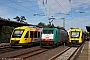 Bombardier 34446 - Railtraxx "2833"
02.09.2012 - Frankfurt-Höchst
Albert Hitfield