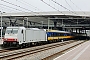 Bombardier 34448 - NS "E 186 239"
25.09.2017 - Rotterdam, Centraal Station
Theo Stolz
