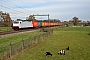 Bombardier 34448 - CapTrain "E 186 239"
05.11.2011 - Wierden
Coen Ormel