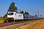 Bombardier 34448 - Rhenus Rail "E 186 239"
23.08.2022 - Wiesental
Wolfgang Mauser