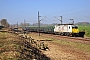 Bombardier 34458 - ECR "E 186 170-7"
17.03.2014 - AudelangePierre Hosch