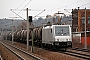 Bombardier 34464 - ITL "E 186 185-5"
11.02.2011 - Heidenau, Bahnhof Süd
Sven Hohlfeld