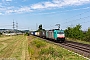 Bombardier 34471 - Crossrail "E 186 230"
14.07.2022 - Bonn-Dransdorf
Fabian Halsig